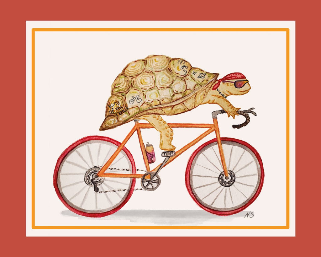 Turtle Road Biker