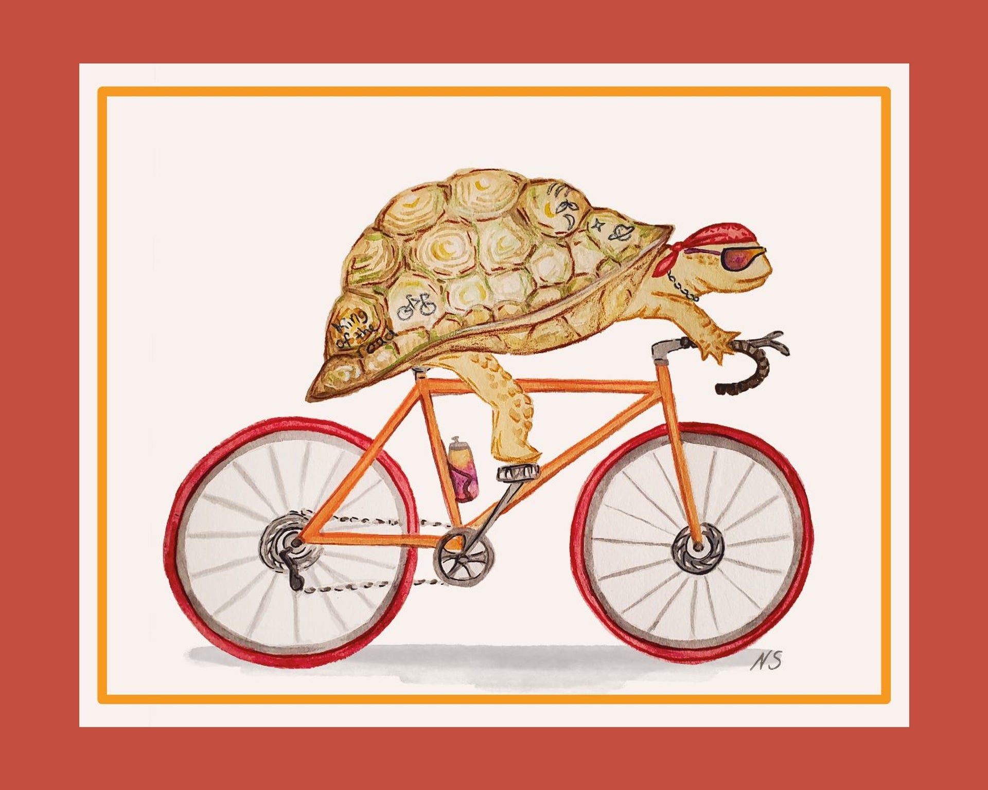 Turtle Road Biker