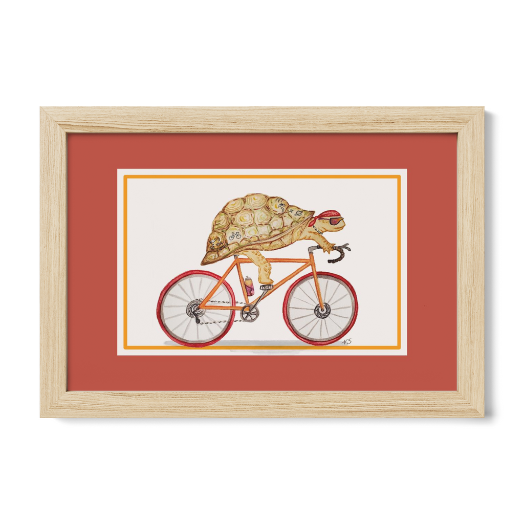 Turtle Road Biker