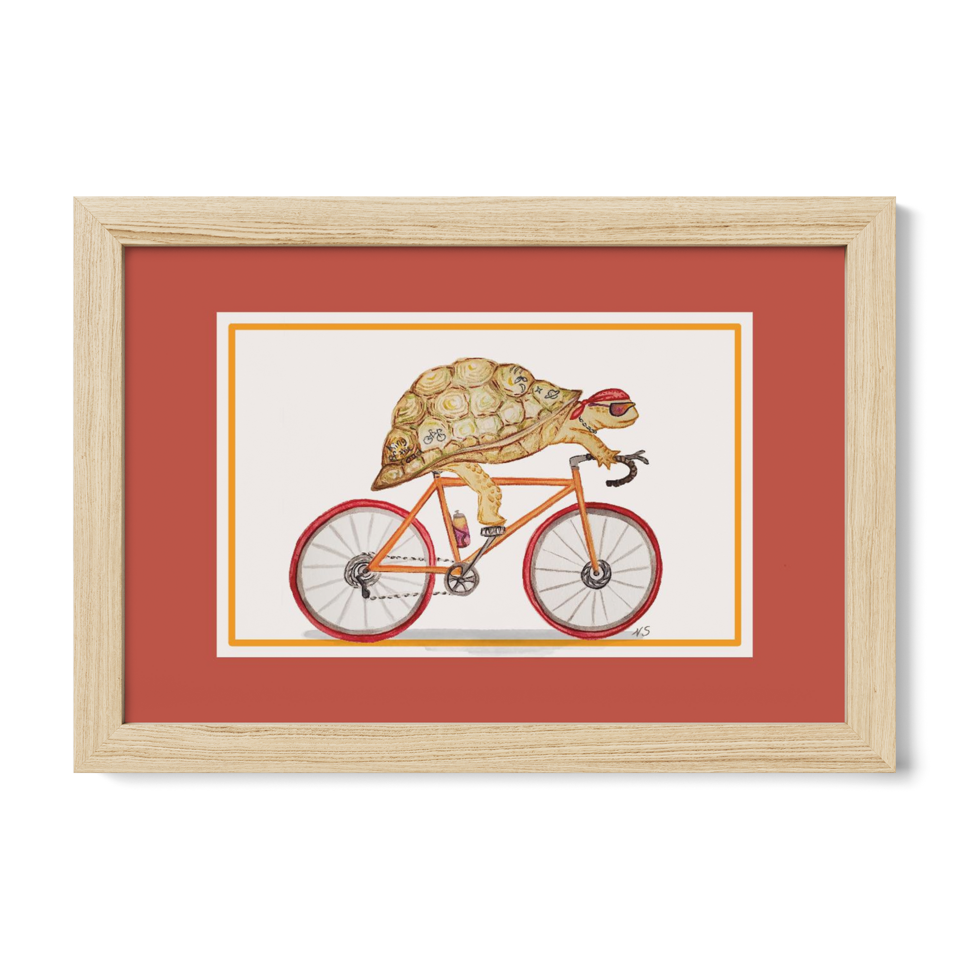 Turtle Road Biker